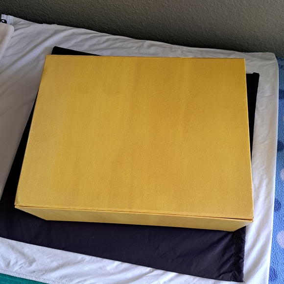 Fendi Magnetic Flip Lid Boot Box with Pair of Dust Bags - Picture 11 of 16